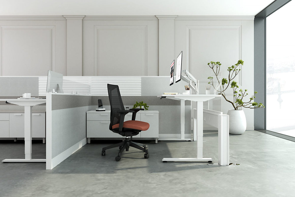 Friant Dual Monitor Arm