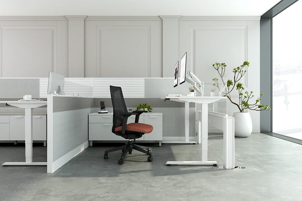 Friant Dual Monitor Arm