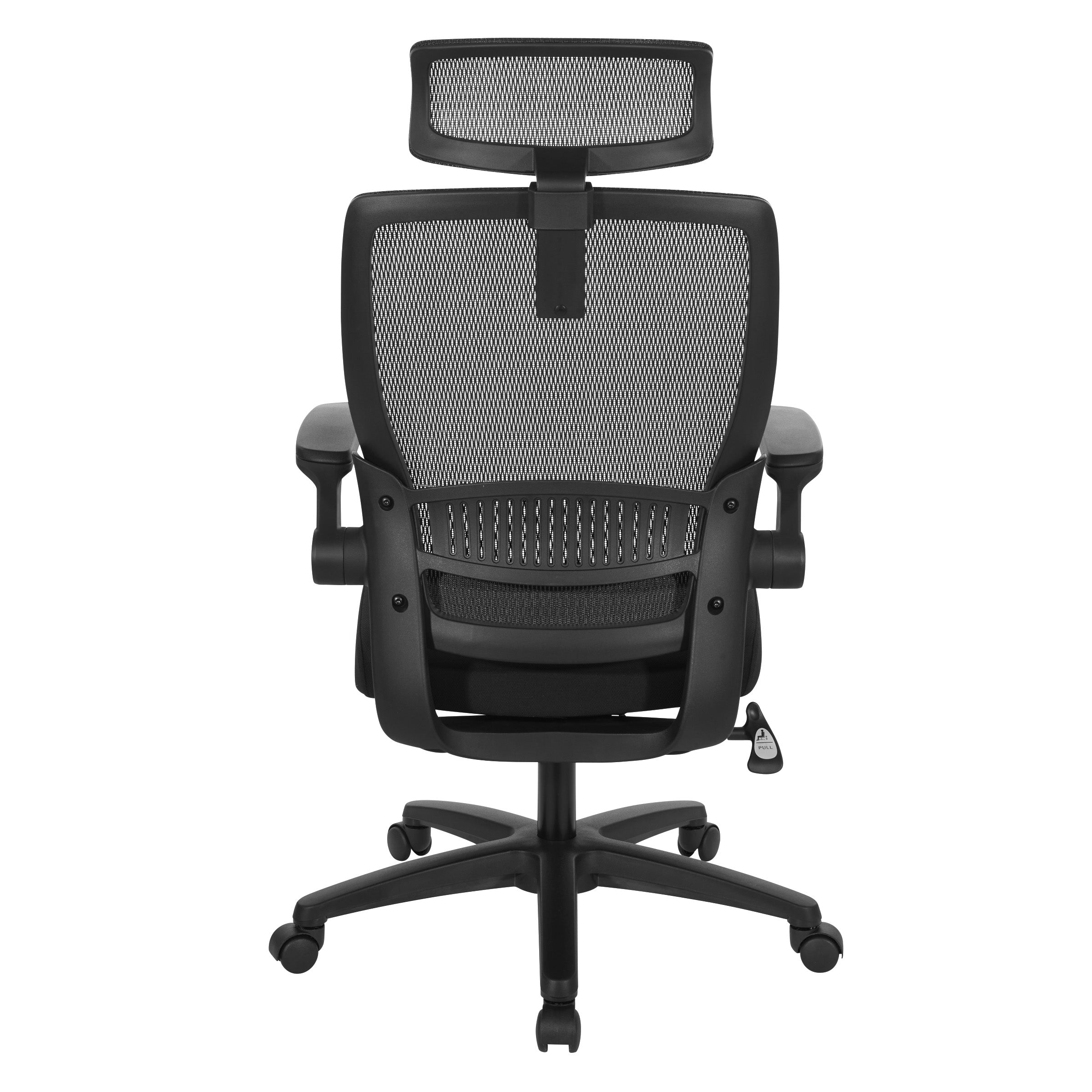 Mesh Back Manager's Chair/Headrest