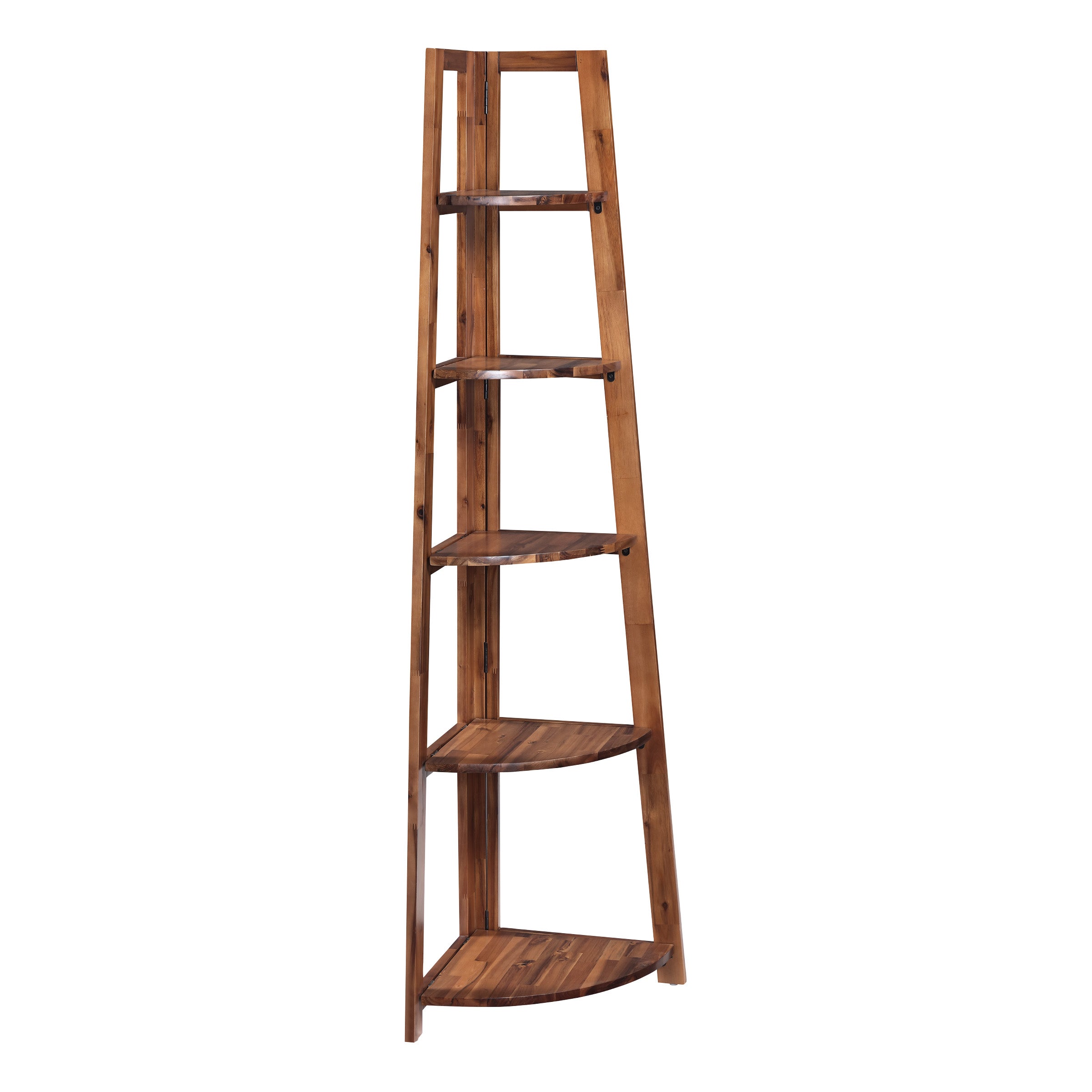 Ladder Bookcase
