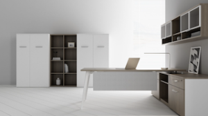 Friant Desk Dash Typical E